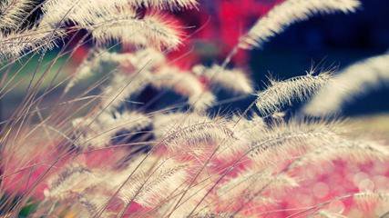 �y�����Ķ��x